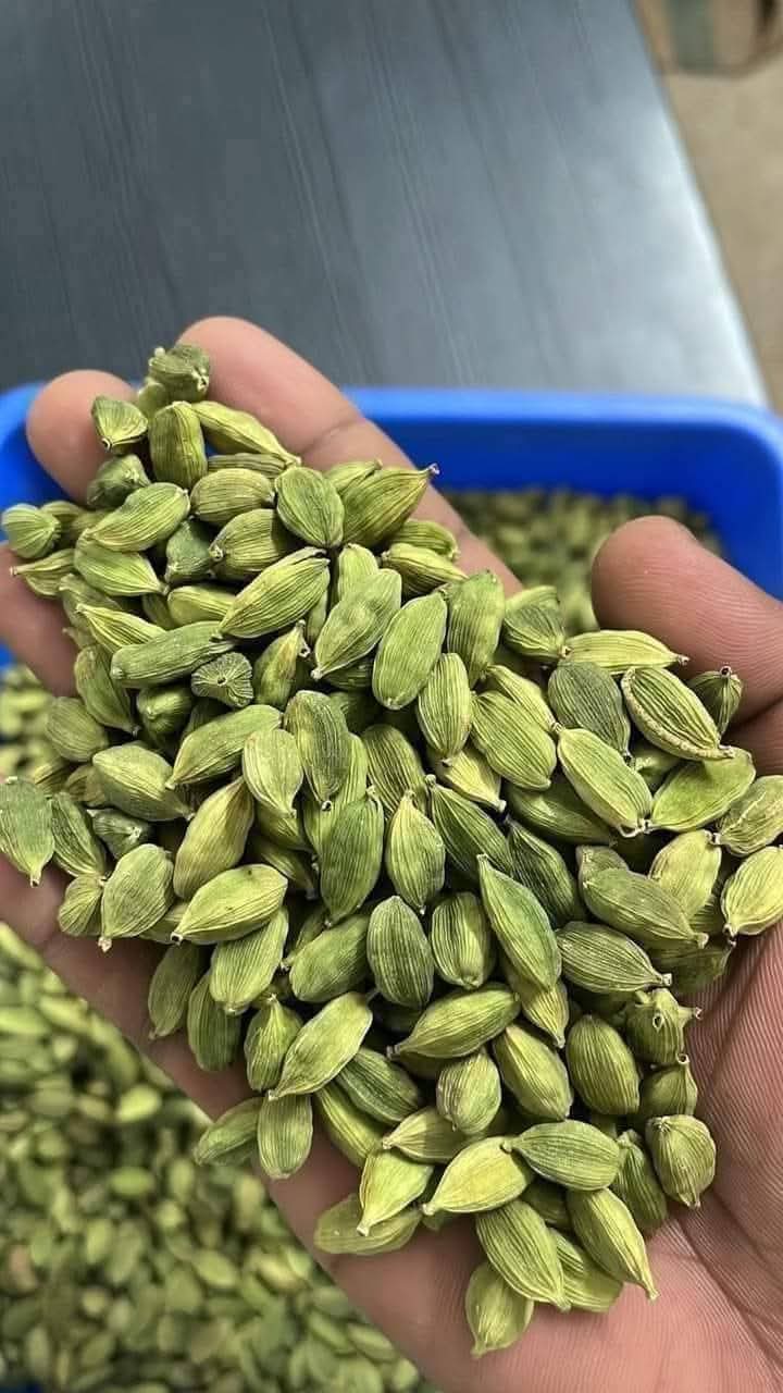 ELA Spices Premium Green Cardamom (Elaichi) Whole Pods – Handpicked, Naturally Aromatic, Fresh & Pure Indian Spice – Rich Flavor for Tea, Coffee, Desserts & Cooking