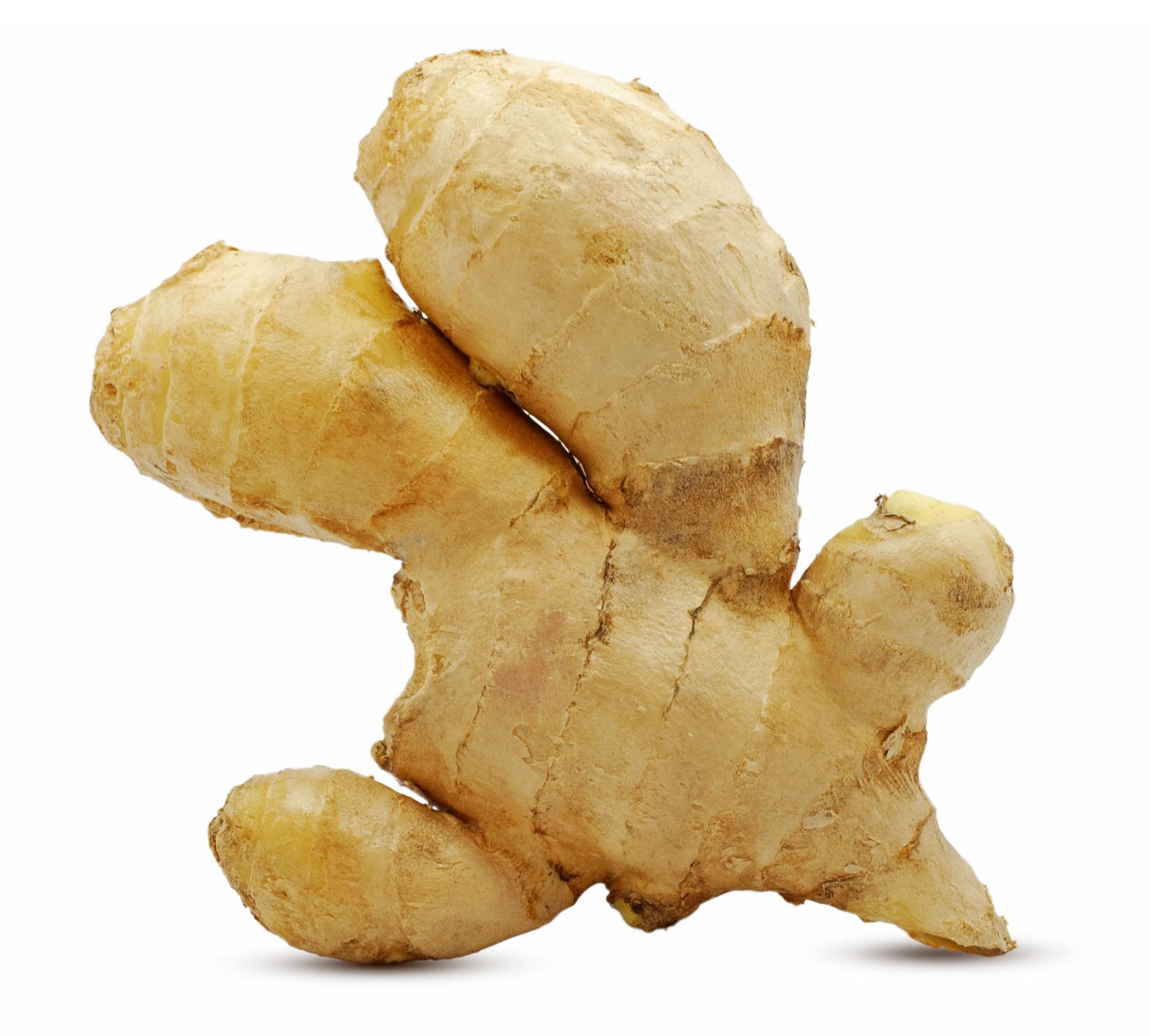 ELA Spices Premium Dry Ginger (Sonth/Chukku) Whole & Natural – Aromatic, Pure Dried Ginger for Tea, Herbal Drinks, Cooking, Baking & Traditional Recipes