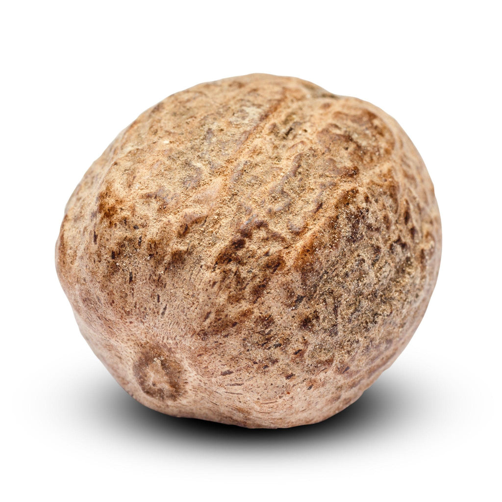 ELA Spices Premium Whole Nutmeg (Jaiphal) – Handpicked, Naturally Aromatic Whole Spice for Baking, Cooking, Desserts & Beverages