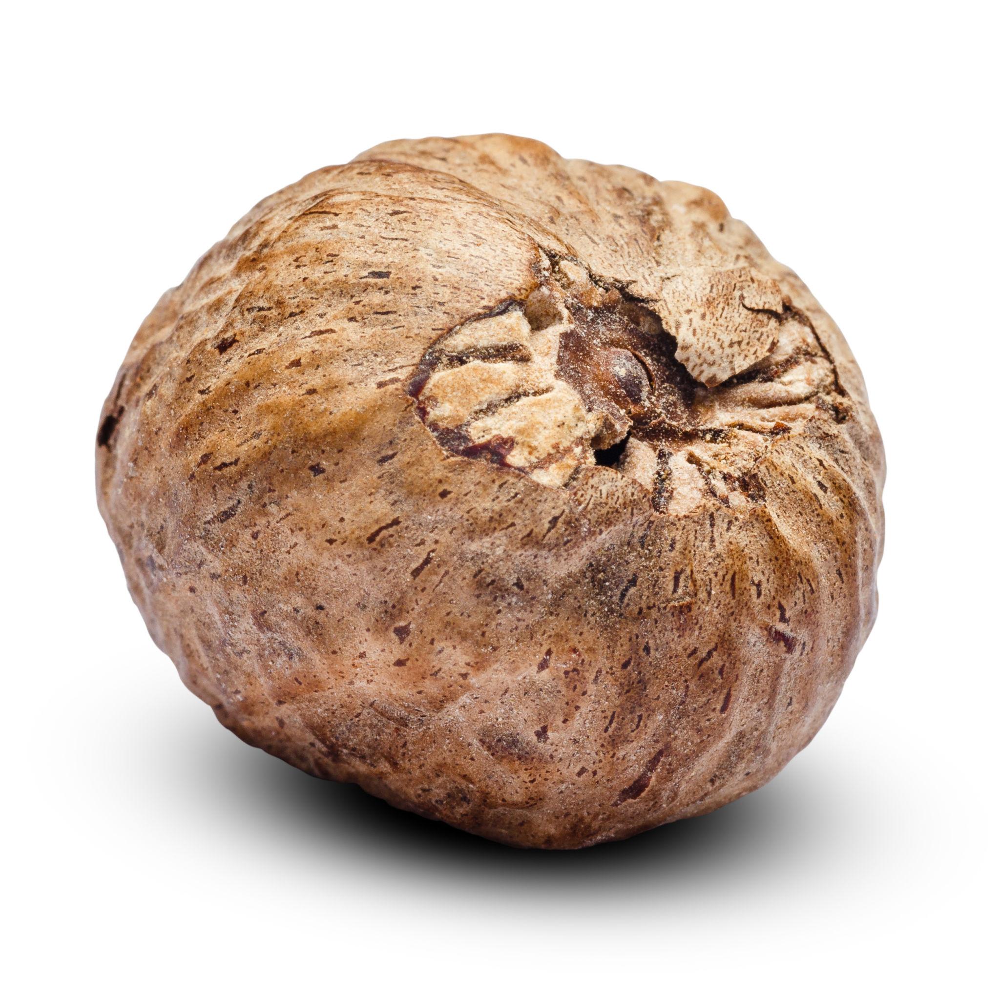 ELA Spices Premium Whole Nutmeg (Jaiphal) – Handpicked, Naturally Aromatic Whole Spice for Baking, Cooking, Desserts & Beverages