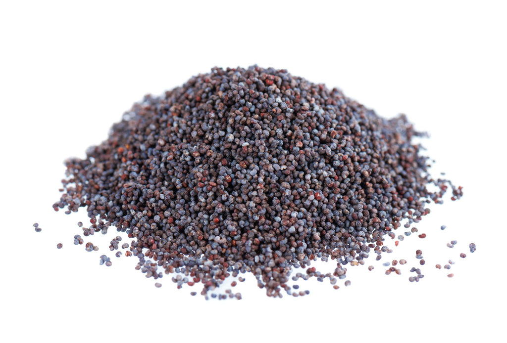 ELA Spices Premium Poppy Seeds (Khus Khus) – Natural, Fresh & Pure White Poppy Seeds for Baking, Cooking, Desserts & Traditional Recipes