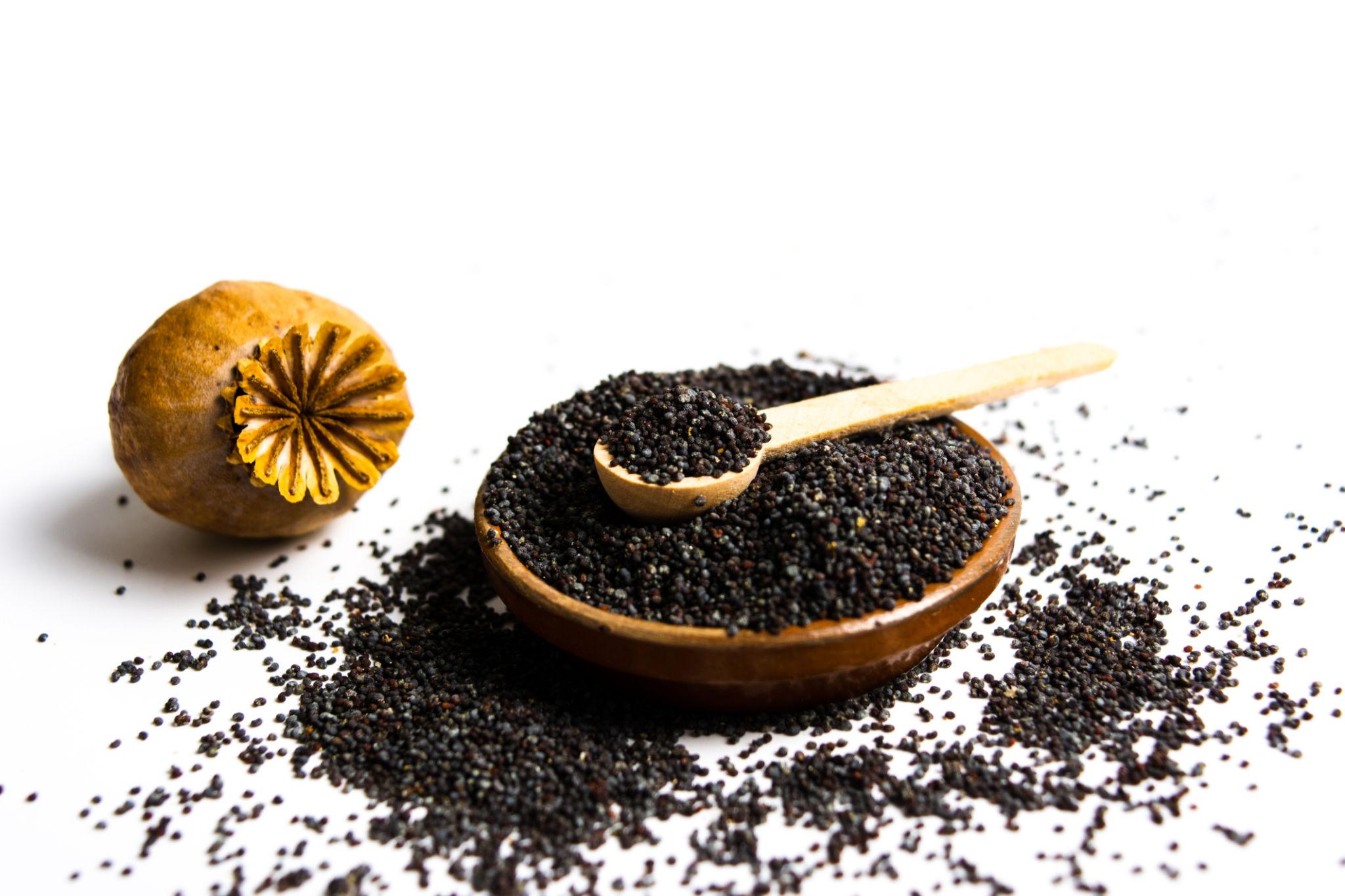 ELA Spices Premium Poppy Seeds (Khus Khus) – Natural, Fresh & Pure White Poppy Seeds for Baking, Cooking, Desserts & Traditional Recipes