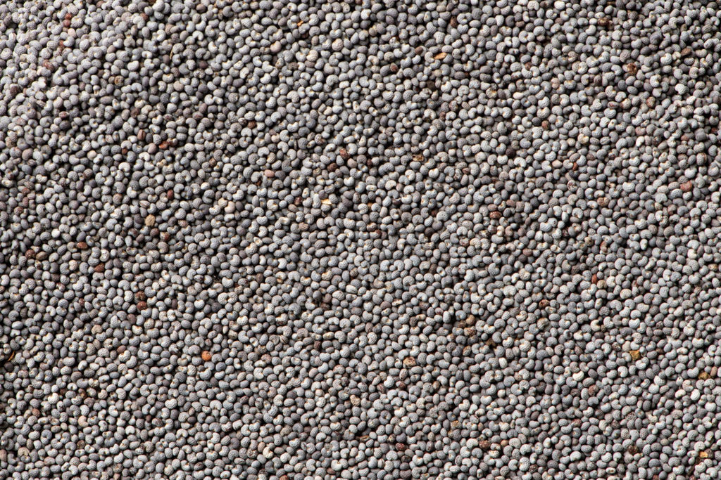 ELA Spices Premium Poppy Seeds (Khus Khus) – Natural, Fresh & Pure White Poppy Seeds for Baking, Cooking, Desserts & Traditional Recipes