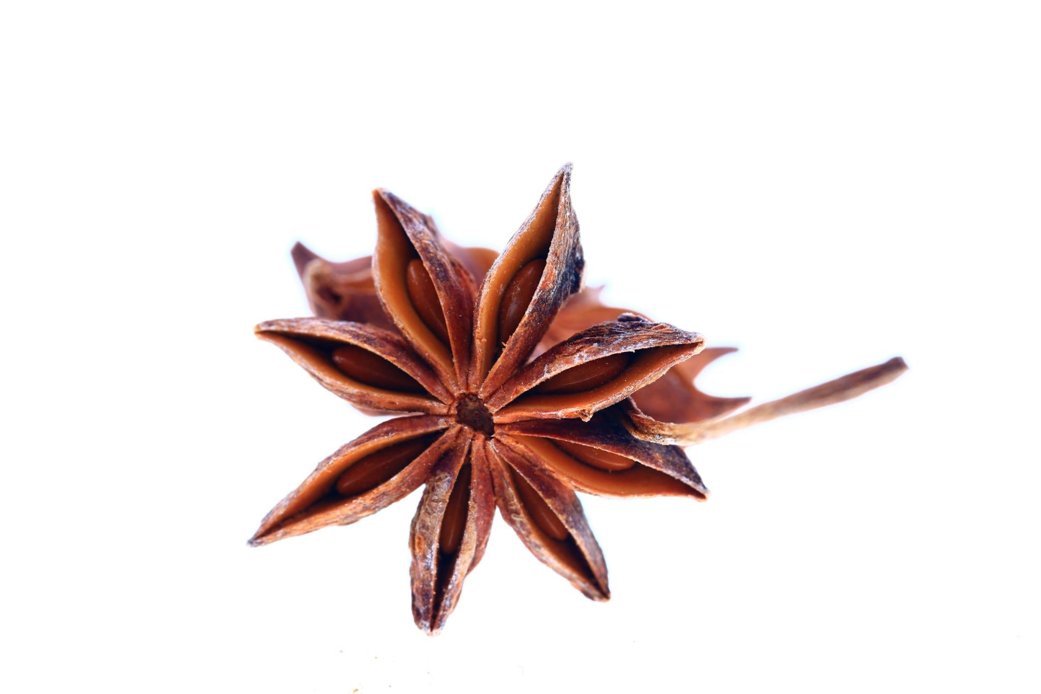 ELA Spices Premium Star Anise (Chakra Phool) Whole Spice – Naturally Aromatic, Handpicked & Pure for Biryani, Curries, Tea, Baking & Gourmet Cooking